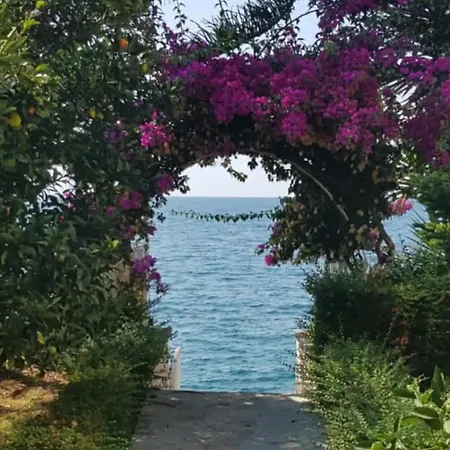 Aphrodite Direct Access To Beach