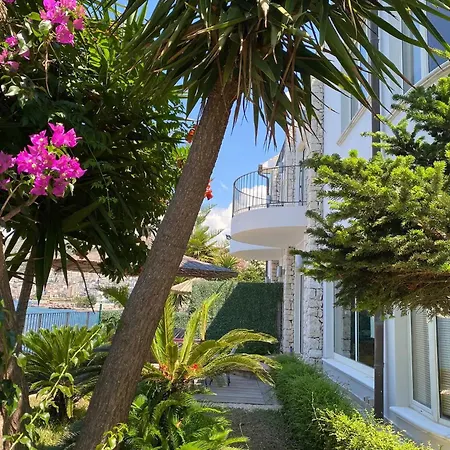 Aphrodite Direct Access To Beach *