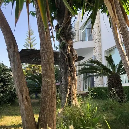 Aphrodite Direct Access To Beach Sarande