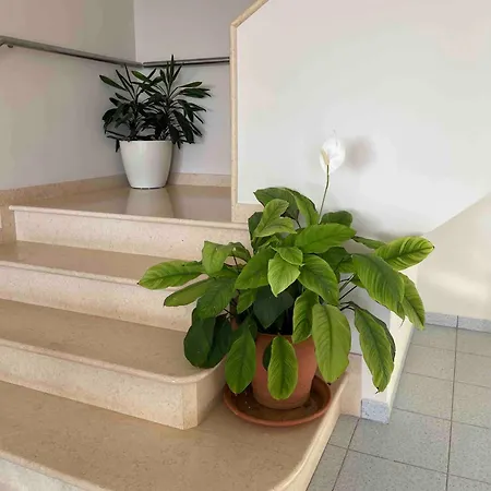 Villa Aphrodite Direct Access To Beach Sarande